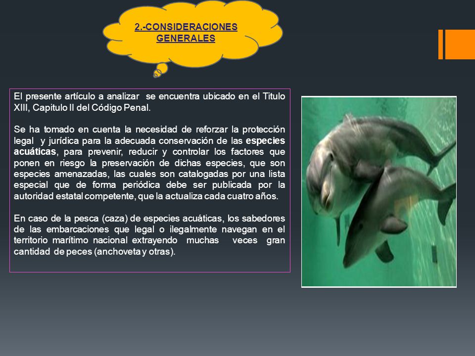 2.-CONSIDERACIONES GENERALES. El presente artículo a analizar se encuentra ubicado en el Titulo XIII, Capitulo II del Código Penal.