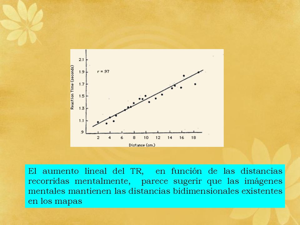 El aumento lineal del TR, en función de las distancias recorridas mentalmente, parece sugerir que las imágenes mentales mantienen las distancias bidimensionales existentes en los mapas