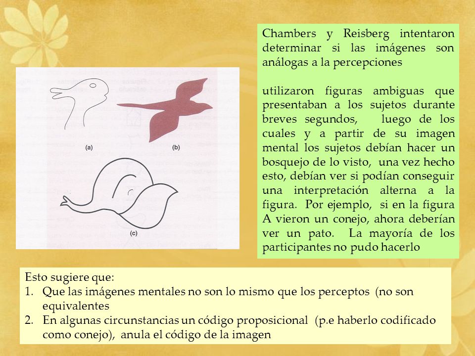 Chambers y Reisberg intentaron determinar si las imágenes son análogas a la percepciones