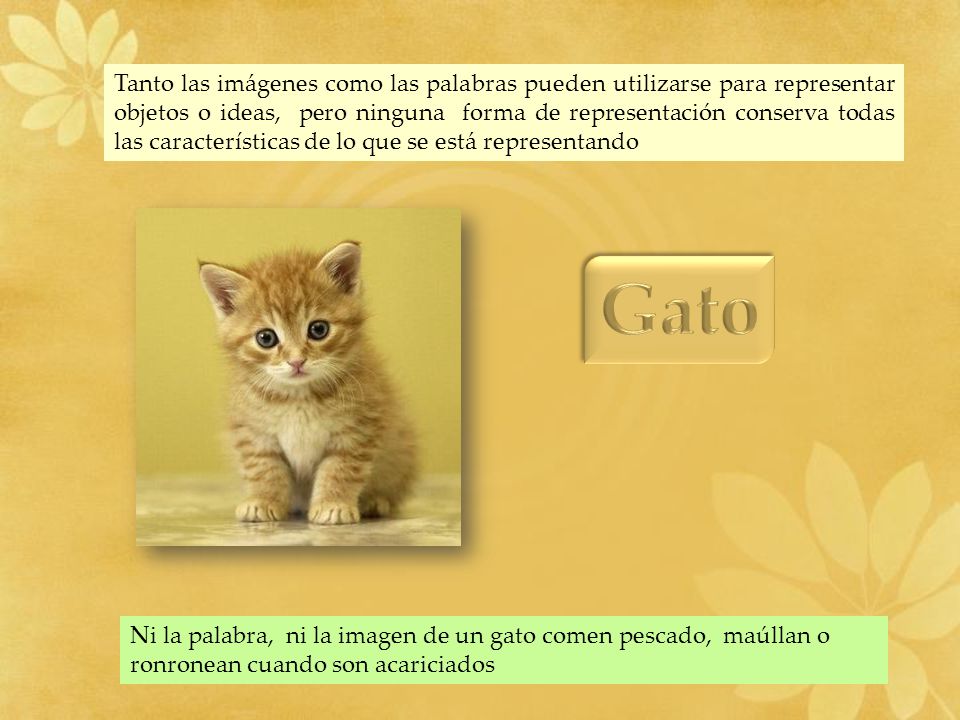 Tanto las imágenes como las palabras pueden utilizarse para representar objetos o ideas, pero ninguna forma de representación conserva todas las características de lo que se está representando