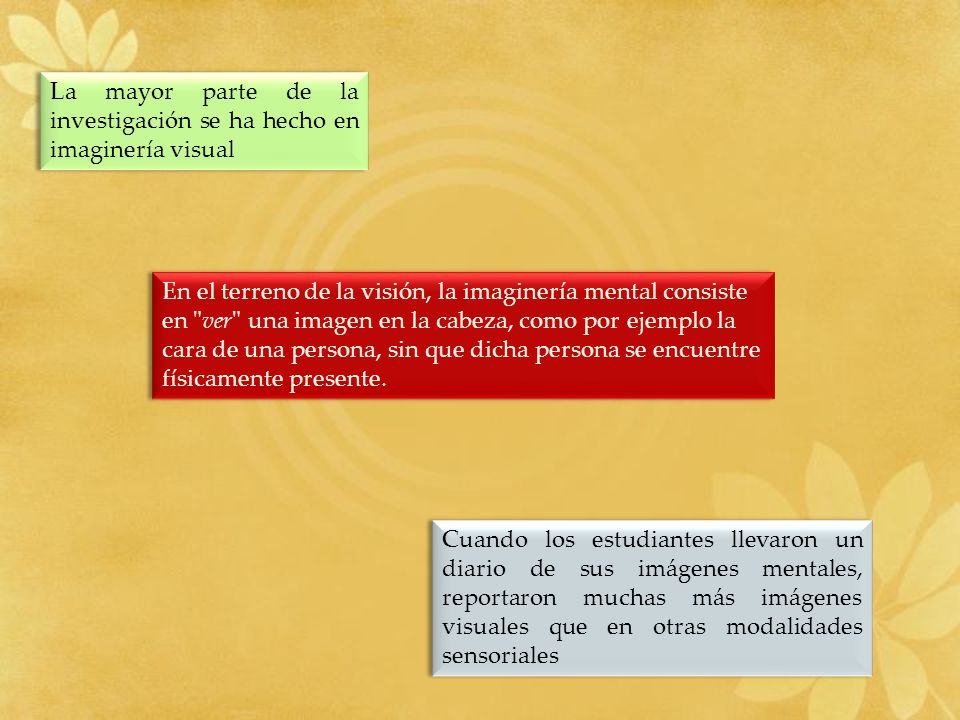 La mayor parte de la investigación se ha hecho en imaginería visual