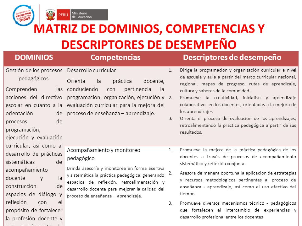 MATRIZ DE DOMINIOS, COMPETENCIAS Y DESCRIPTORES DE DESEMPEÑO