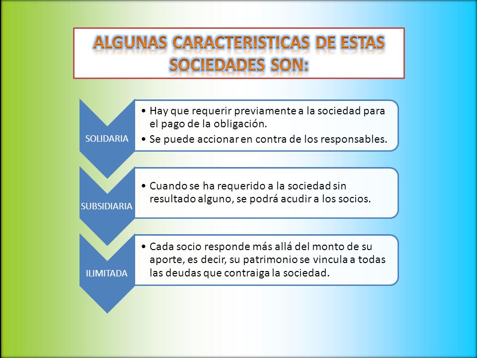 ALGUNAS CARACTERISTICAS DE ESTAS SOCIEDADES SON: