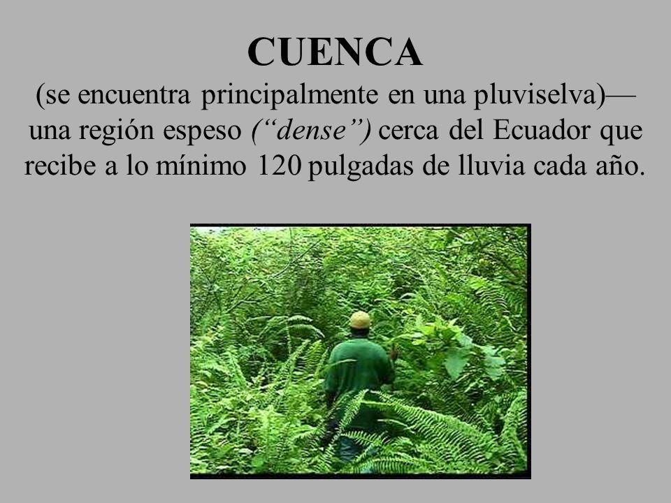 CUENCA (se encuentra principalmente en una pluviselva)—una región espeso ( dense ) cerca del Ecuador que recibe a lo mínimo 120 pulgadas de lluvia cada año.