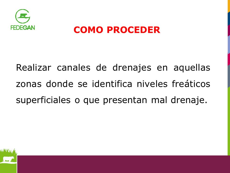 COMO PROCEDER Realizar canales de drenajes en aquellas zonas donde se identifica niveles freáticos superficiales o que presentan mal drenaje.