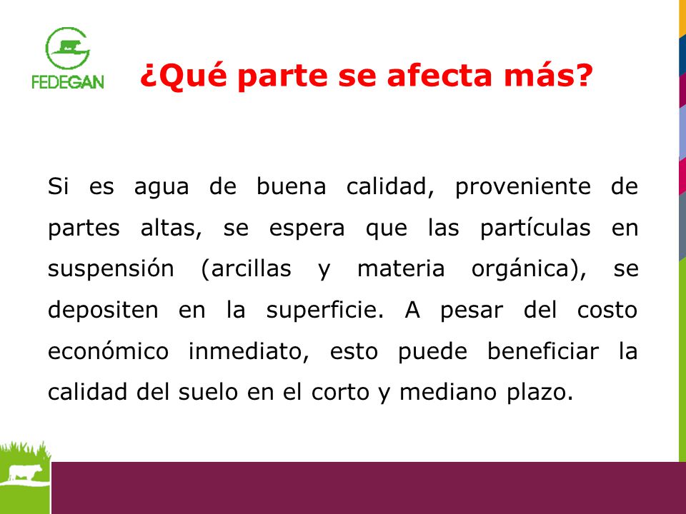 ¿Qué parte se afecta más