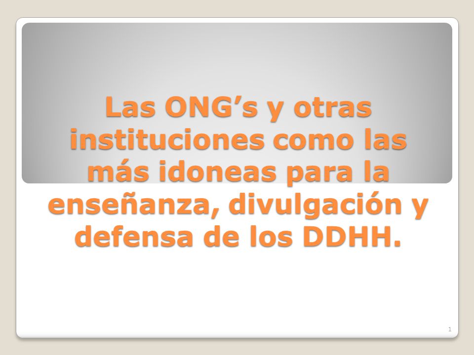 Las ONG’s y otras instituciones como las más idoneas para la enseñanza, divulgación y defensa de los DDHH.