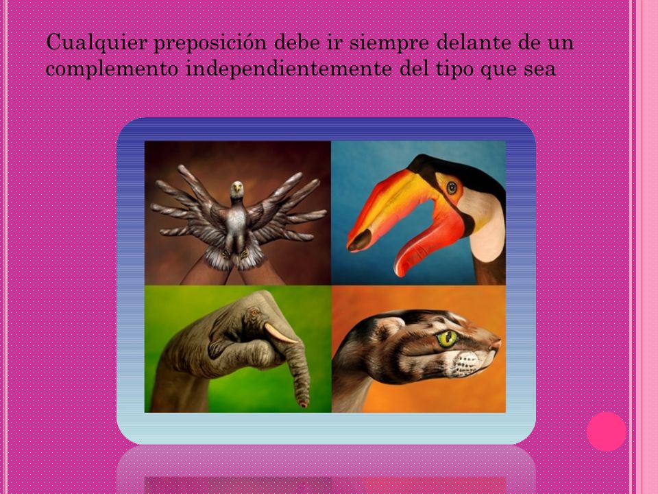 Cualquier preposición debe ir siempre delante de un complemento independientemente del tipo que sea