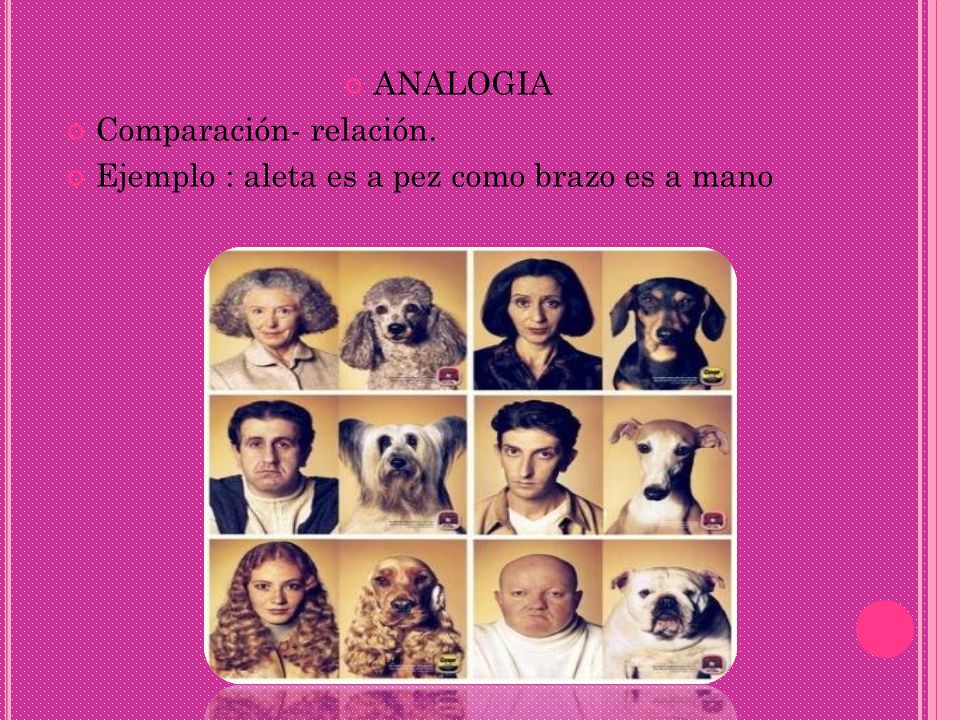 ANALOGIA Comparación- relación. Ejemplo : aleta es a pez como brazo es a mano