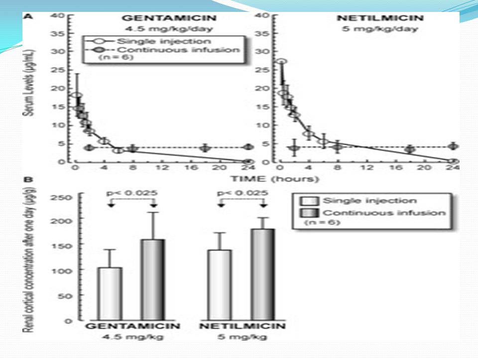 FIGURE A: Course of serum concentrations of gentamicin and netilmicin after administration of the dose by a 30-minute intravenous injection or by continuous infusion of 24 hours. B: Cortical concentration of gentamicin and netilmicin after administration by the previously mentioned administration schedules. (Reprinted from: