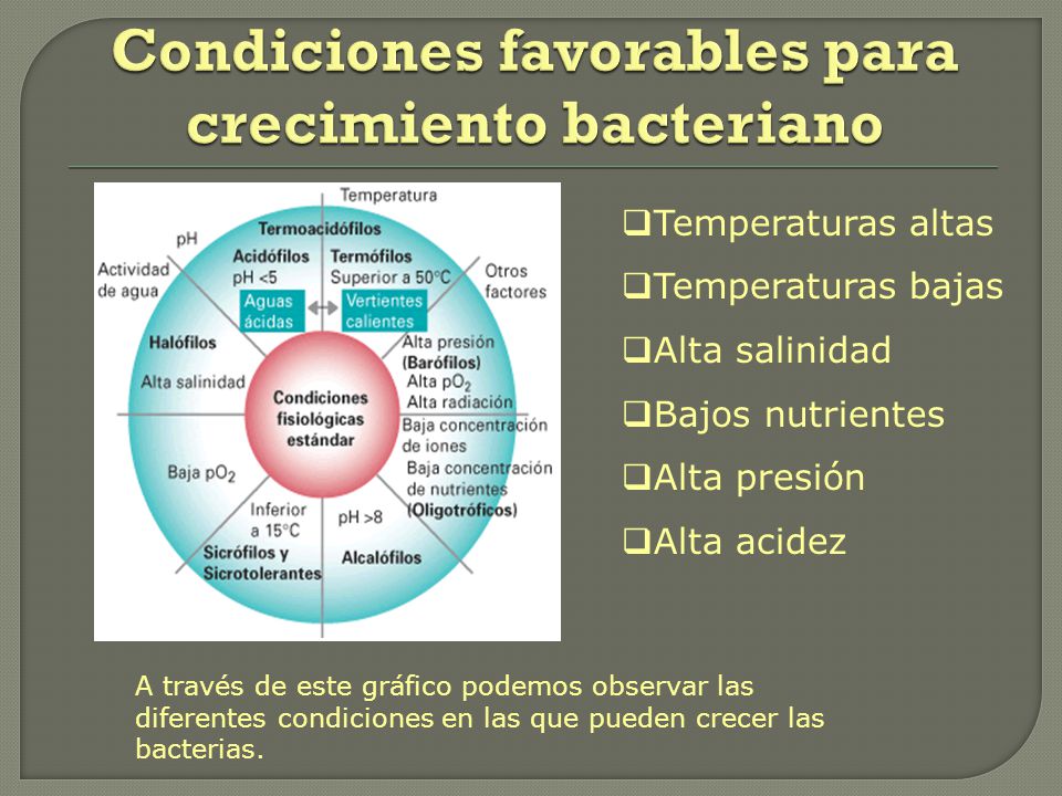 Condiciones favorables para crecimiento bacteriano