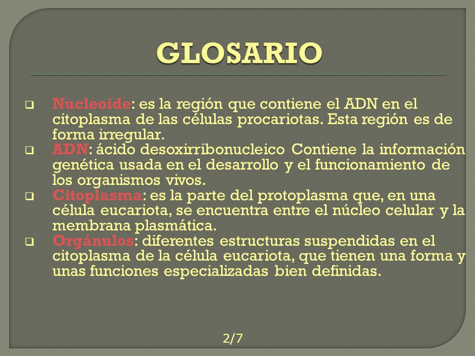 GLOSARIO Nucleoide: es la región que contiene el ADN en el citoplasma de las células procariotas. Esta región es de forma irregular.