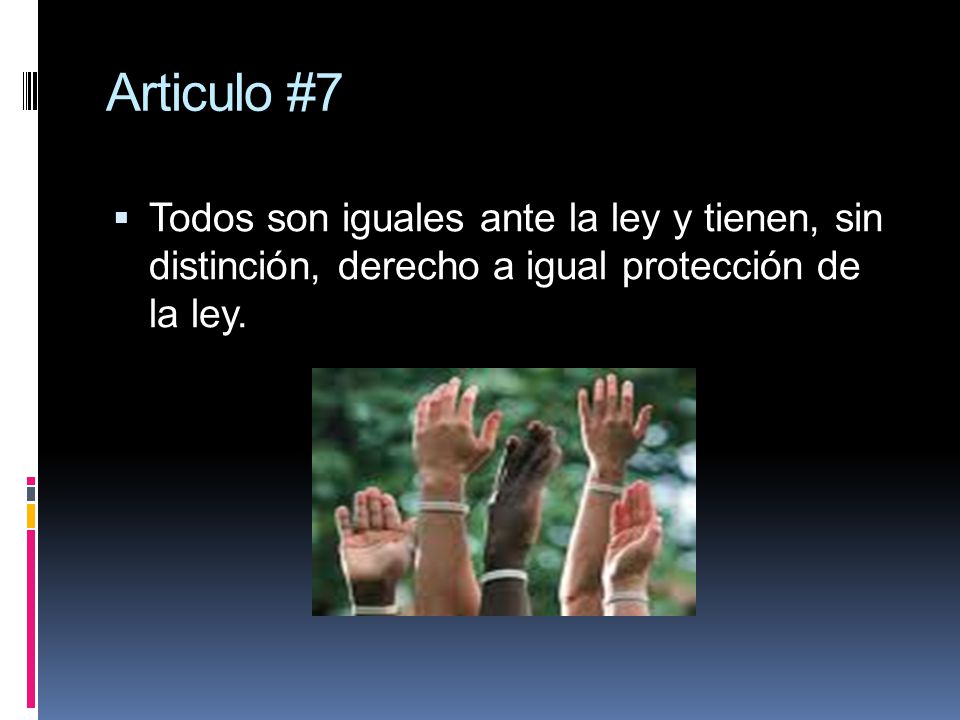 Articulo #7 Todos son iguales ante la ley y tienen, sin distinción, derecho a igual protección de la ley.