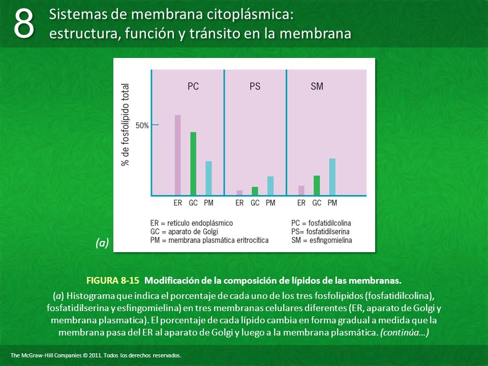 (a) FIGURA 8-15 Modificación de la composición de lípidos de las membranas.