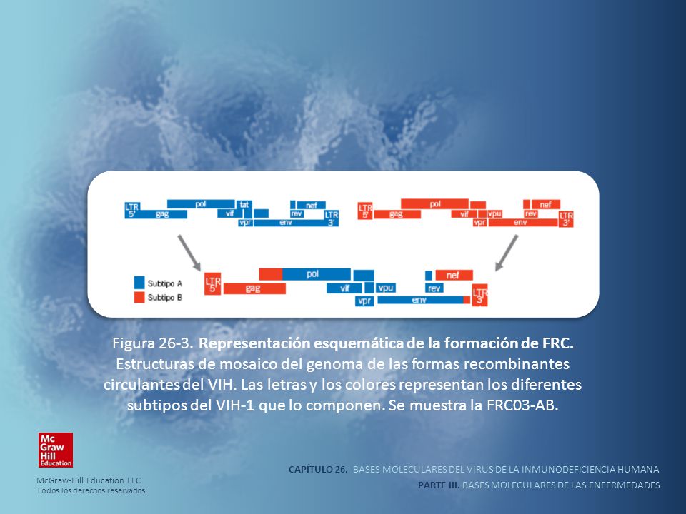 Figura Representación esquemática de la formación de FRC