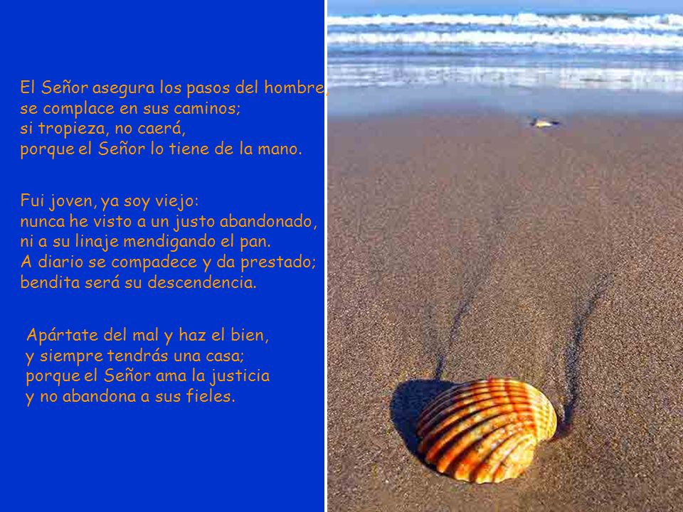 El Señor asegura los pasos del hombre, se complace en sus caminos; si tropieza, no caerá, porque el Señor lo tiene de la mano.