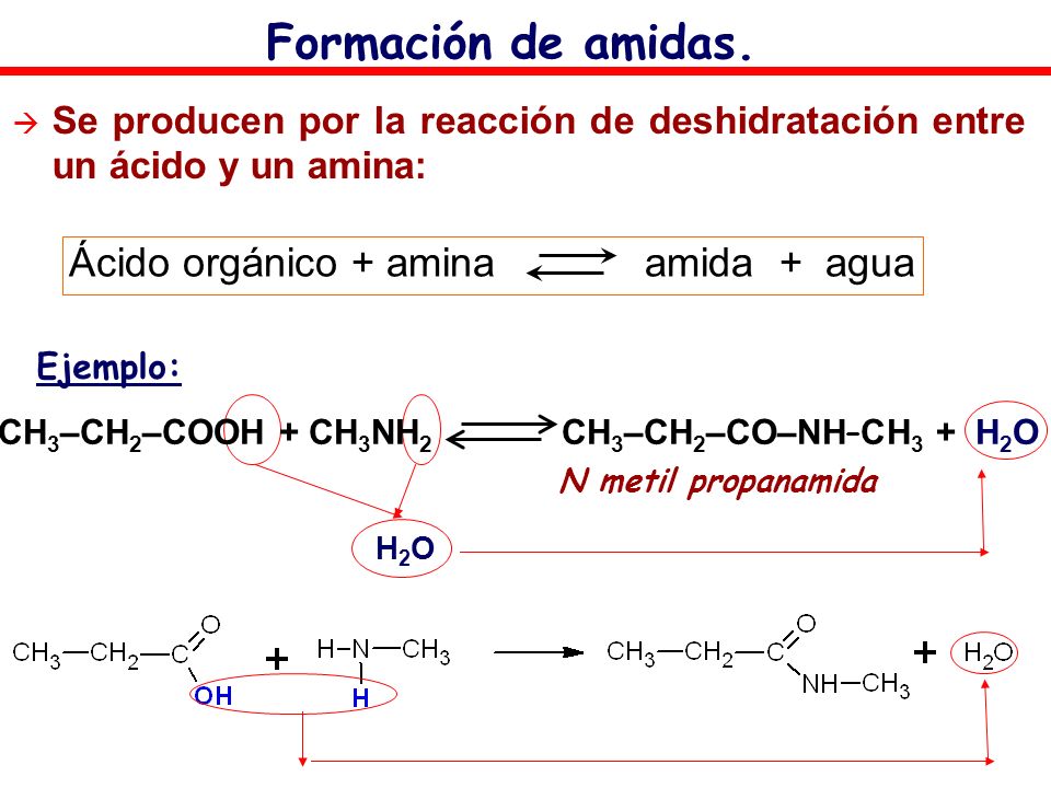 Ácido orgánico + amina amida + agua