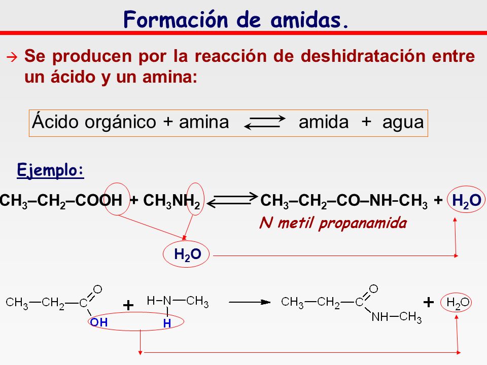 Ácido orgánico + amina amida + agua