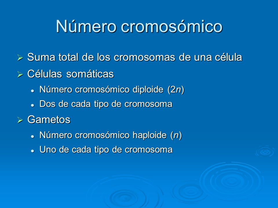 Número cromosómico Suma total de los cromosomas de una célula