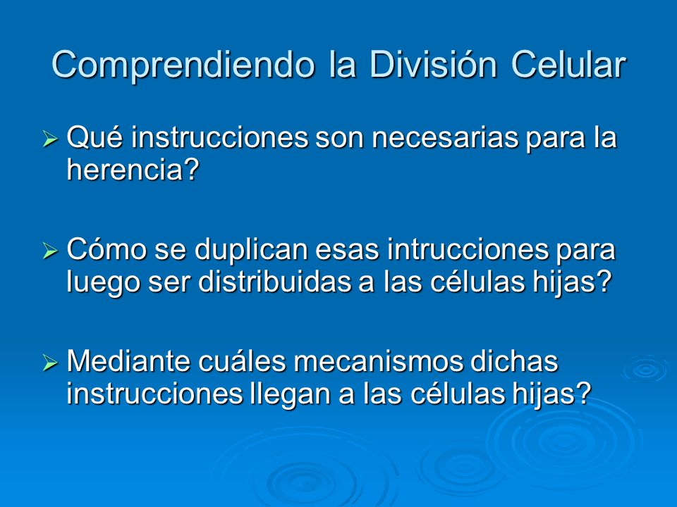 Comprendiendo la División Celular