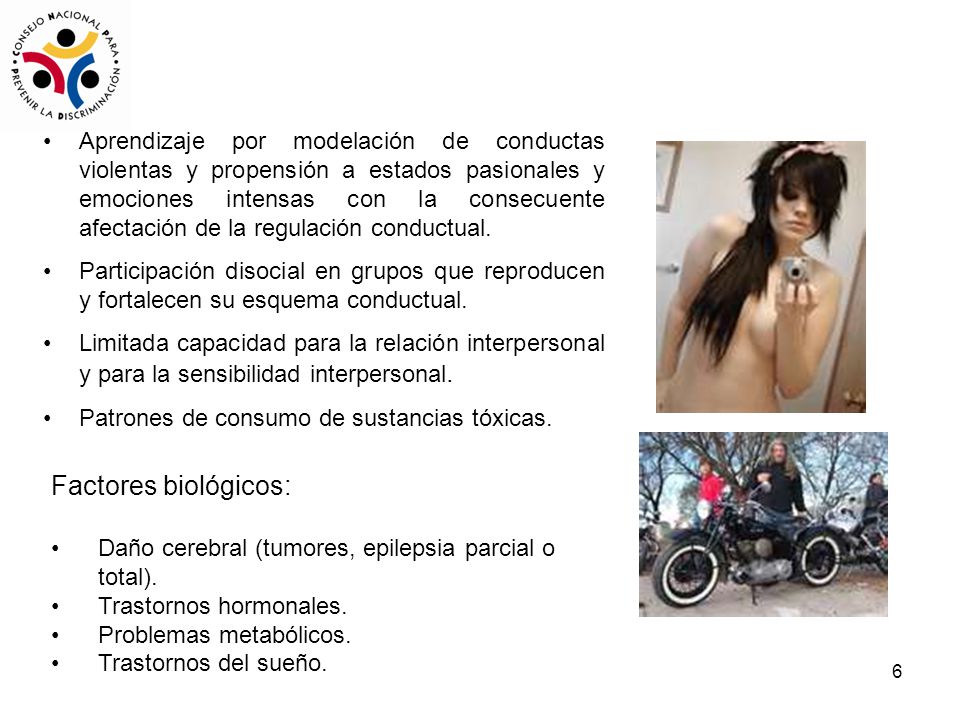 Aprendizaje por modelación de conductas violentas y propensión a estados pasionales y emociones intensas con la consecuente afectación de la regulación conductual.