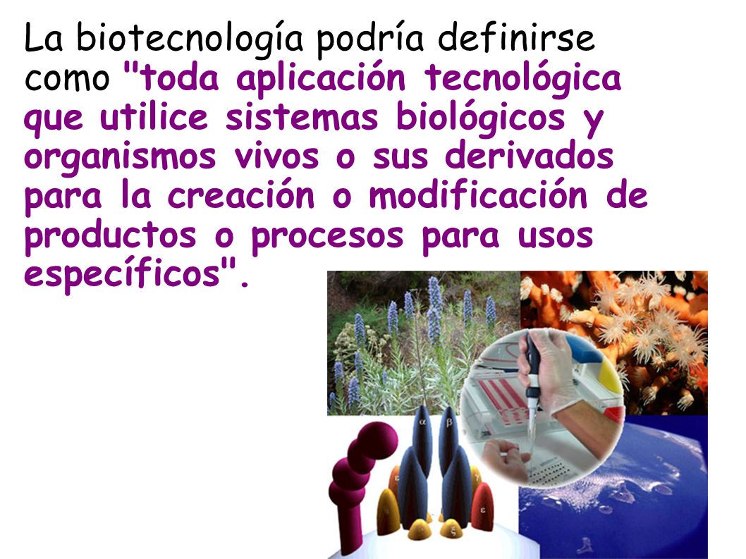 La biotecnología podría definirse como toda aplicación tecnológica que utilice sistemas biológicos y organismos vivos o sus derivados para la creación o modificación de productos o procesos para usos específicos .