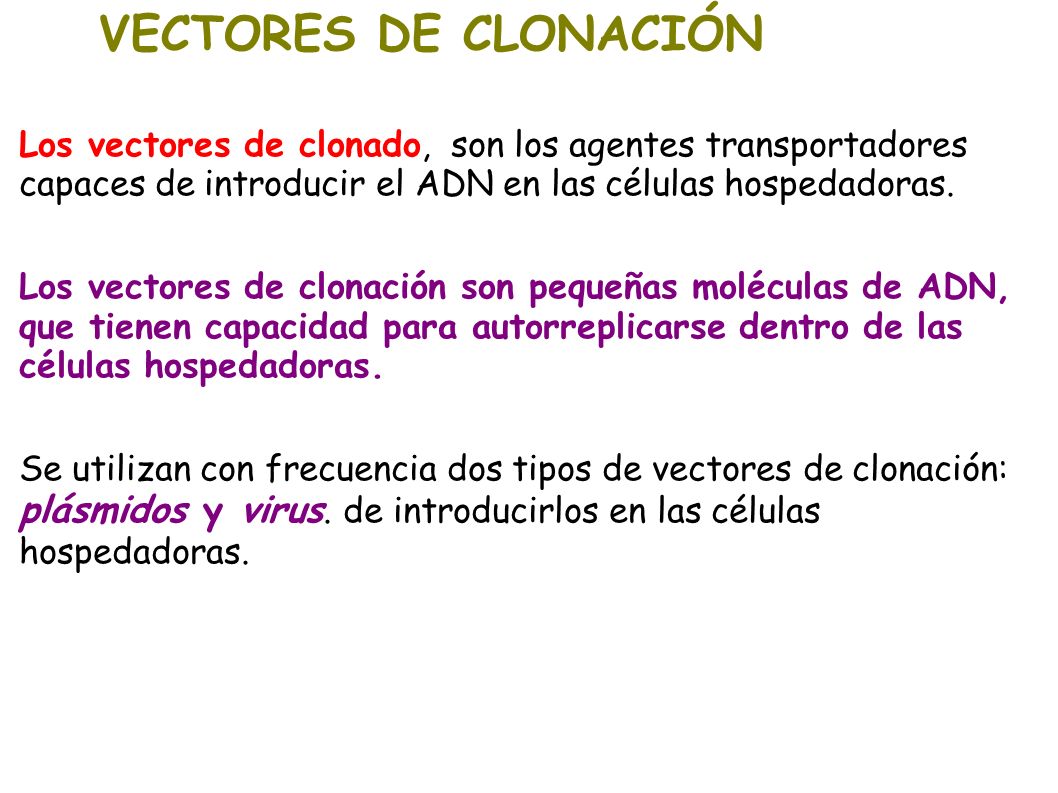 VECTORES DE CLONACIÓN Los vectores de clonado, son los agentes transportadores capaces de introducir el ADN en las células hospedadoras.