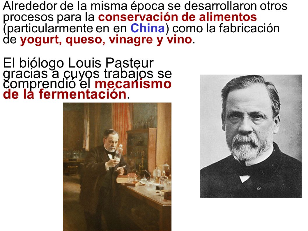 Alrededor de la misma época se desarrollaron otros procesos para la conservación de alimentos (particularmente en en China) como la fabricación de yogurt, queso, vinagre y vino.