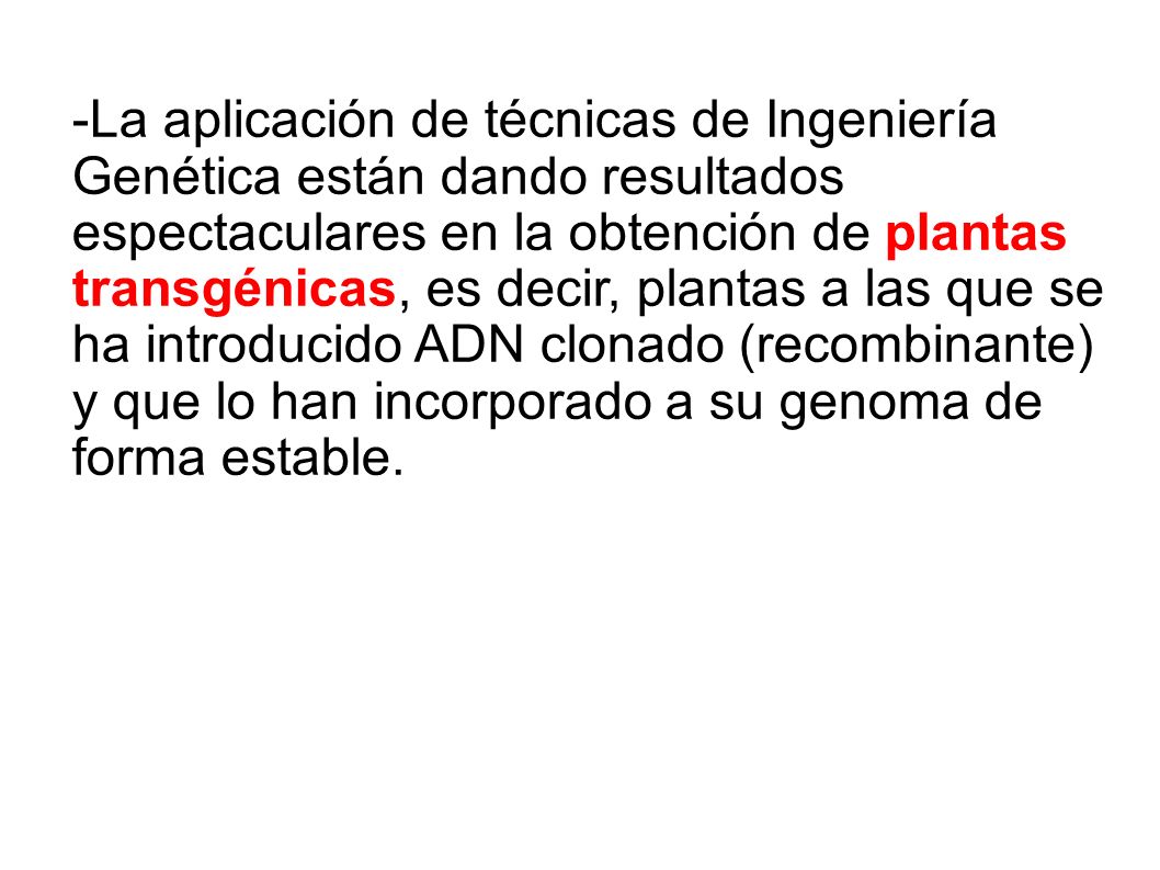-La aplicación de técnicas de Ingeniería Genética están dando resultados espectaculares en la obtención de plantas transgénicas, es decir, plantas a las que se ha introducido ADN clonado (recombinante) y que lo han incorporado a su genoma de forma estable.