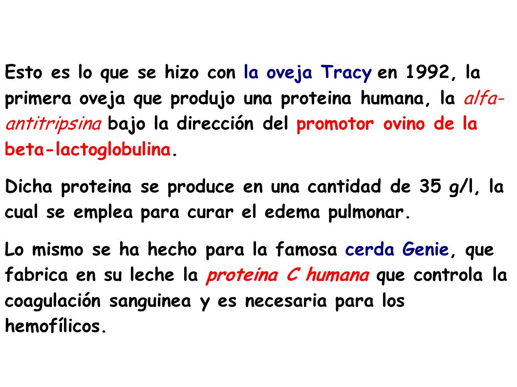 Esto es lo que se hizo con la oveja Tracy en 1992, la primera oveja que produjo una proteina humana, la alfa- antitripsina bajo la dirección del promotor ovino de la beta-lactoglobulina.