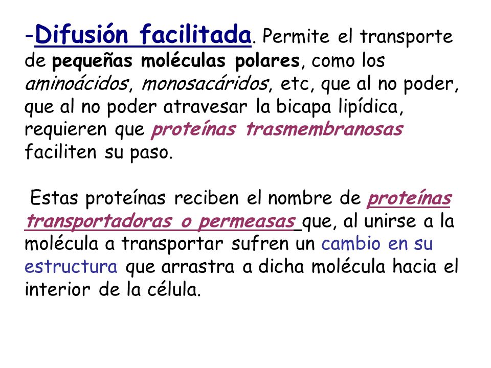 Difusión facilitada. Permite el transporte de pequeñas moléculas polares, como los aminoácidos, monosacáridos, etc, que al no poder, que al no poder atravesar la bicapa lipídica, requieren que proteínas trasmembranosas faciliten su paso.