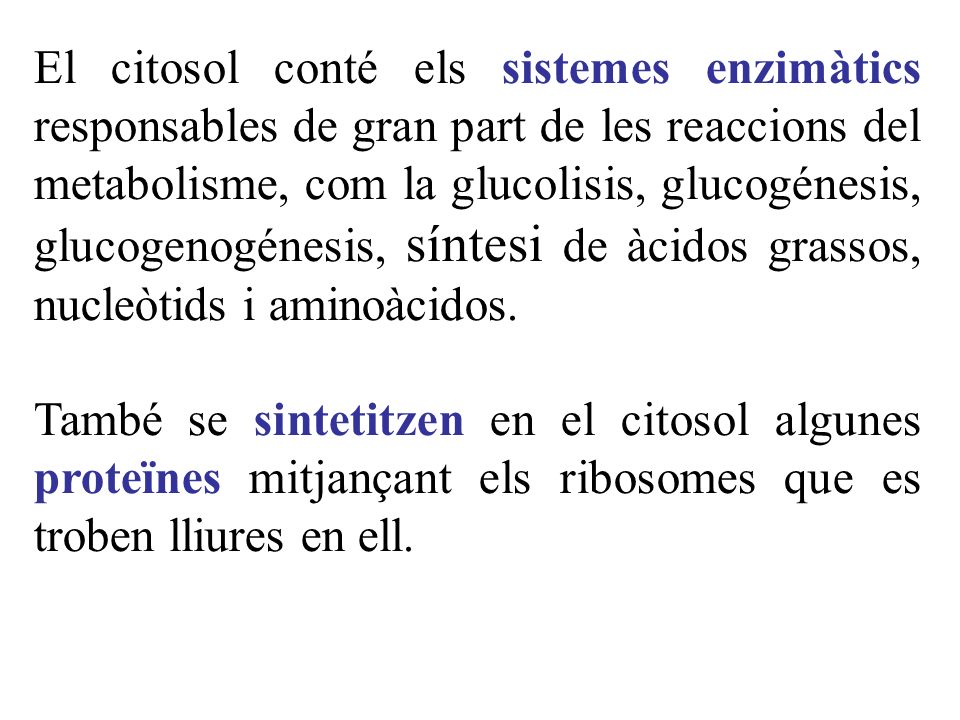 El citosol conté els sistemes enzimàtics responsables de gran part de les reaccions del metabolisme, com la glucolisis, glucogénesis, glucogenogénesis, síntesi de àcidos grassos, nucleòtids i aminoàcidos.