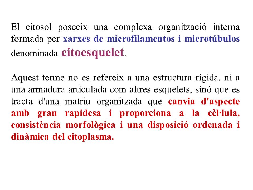 El citosol poseeix una complexa organització interna formada per xarxes de microfilamentos i microtúbulos denominada citoesquelet.