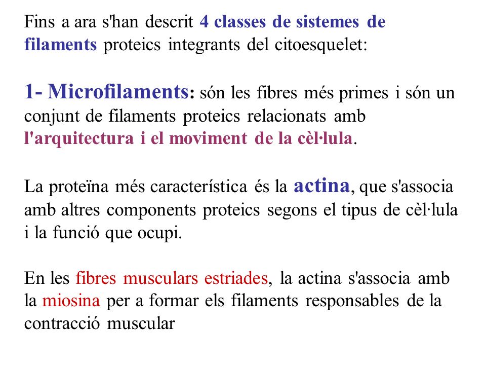 Fins a ara s han descrit 4 classes de sistemes de filaments proteics integrants del citoesquelet: