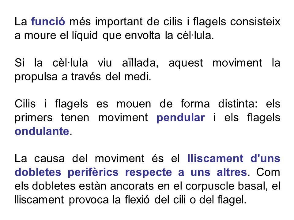 La funció més important de cilis i flagels consisteix a moure el líquid que envolta la cèl·lula.