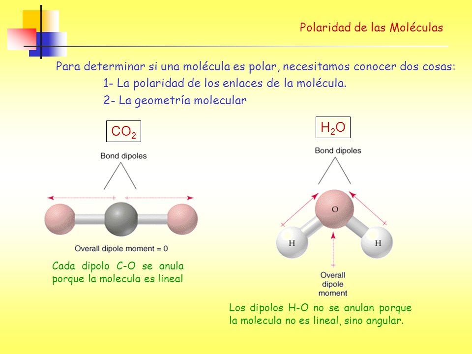 H2O CO2 Polaridad de las Moléculas