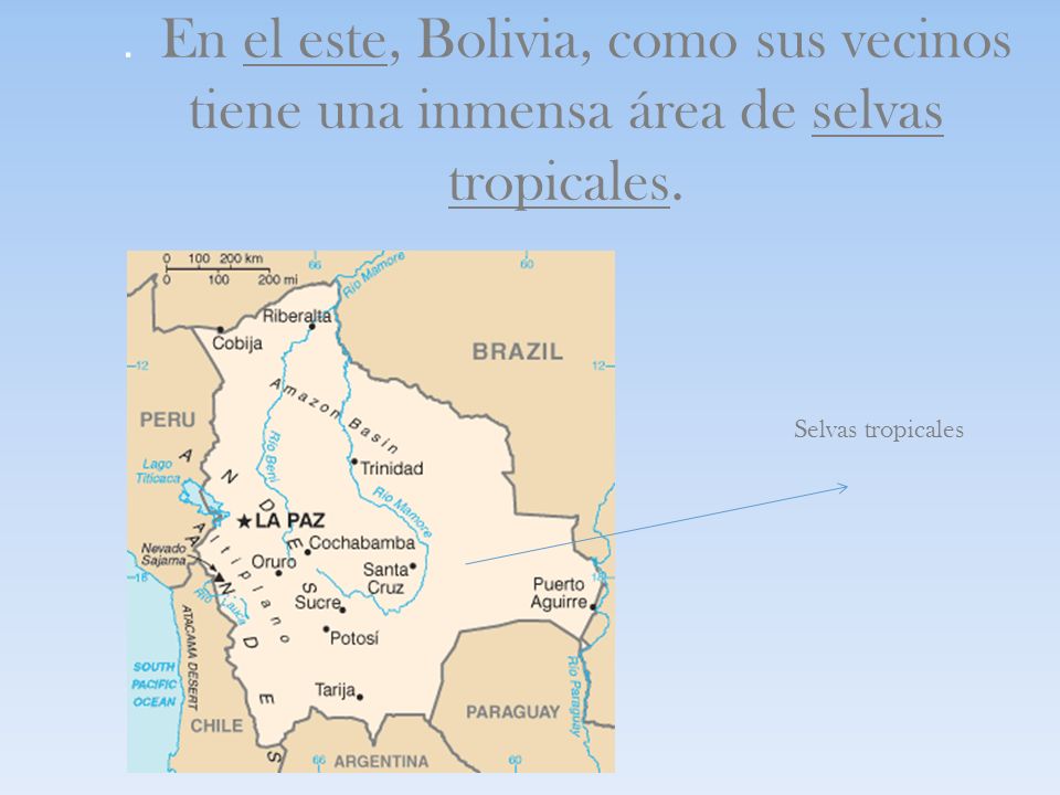 . En el este, Bolivia, como sus vecinos tiene una inmensa área de selvas tropicales.