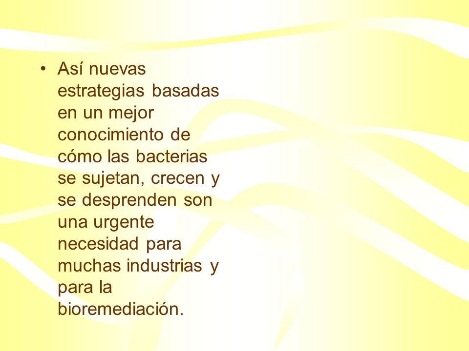 Así nuevas estrategias basadas en un mejor conocimiento de cómo las bacterias se sujetan, crecen y se desprenden son una urgente necesidad para muchas industrias y para la bioremediación.