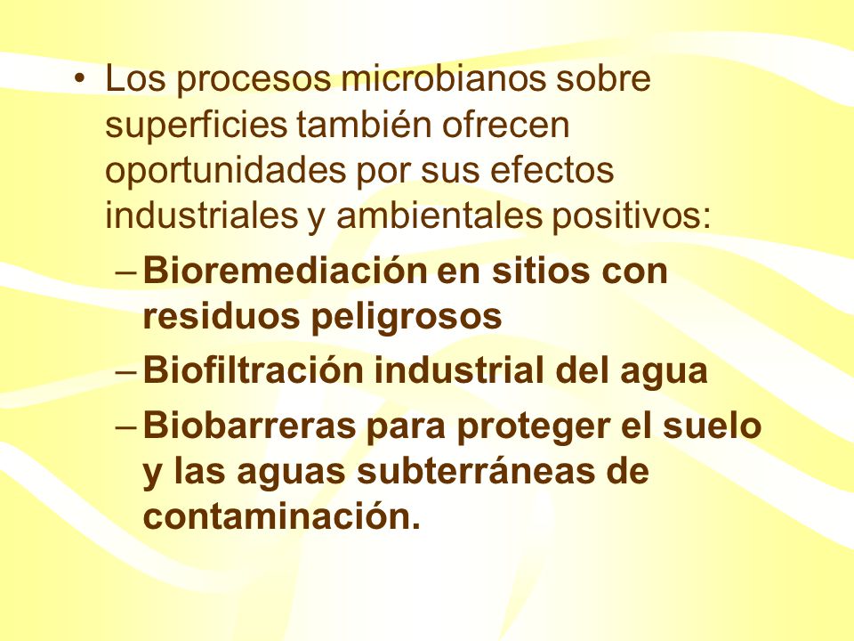 Los procesos microbianos sobre superficies también ofrecen oportunidades por sus efectos industriales y ambientales positivos: