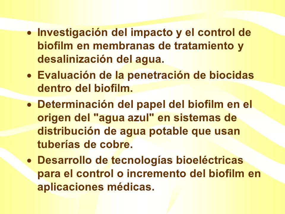Investigación del impacto y el control de biofilm en membranas de tratamiento y desalinización del agua.