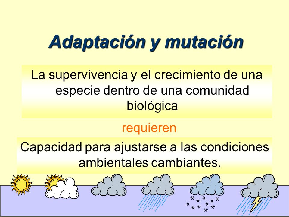 Adaptación y mutación La supervivencia y el crecimiento de una especie dentro de una comunidad biológica.