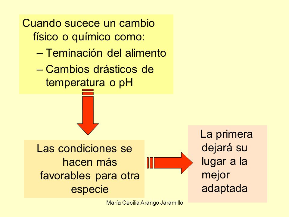 Cuando sucece un cambio físico o químico como: Teminación del alimento