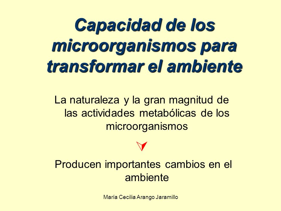 Capacidad de los microorganismos para transformar el ambiente