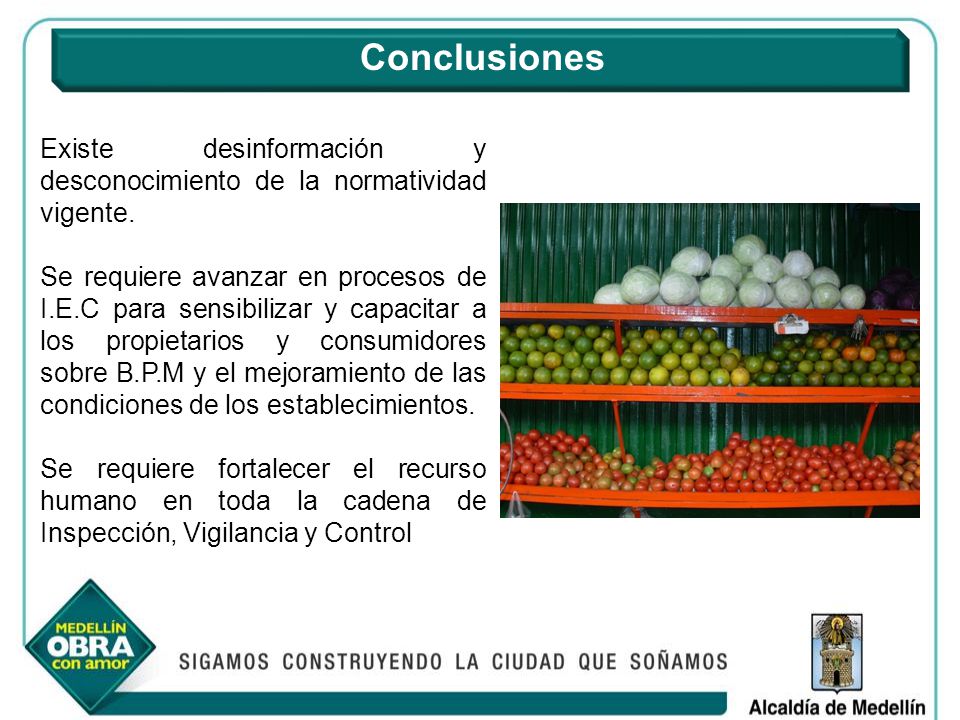Conclusiones Existe desinformación y desconocimiento de la normatividad vigente.