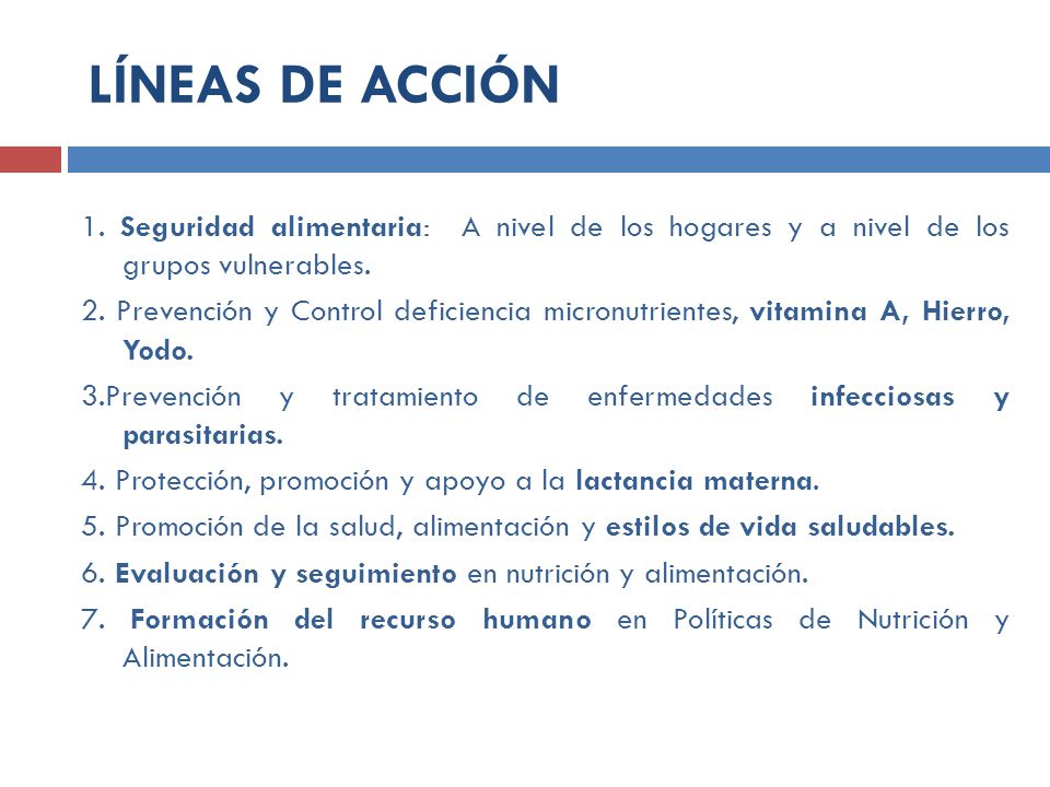 LÍNEAS DE ACCIÓN 1. Seguridad alimentaria: A nivel de los hogares y a nivel de los grupos vulnerables.