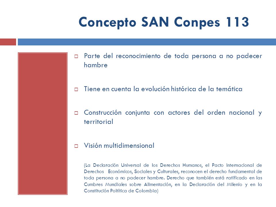 Concepto SAN Conpes 113 Parte del reconocimiento de toda persona a no padecer hambre. Tiene en cuenta la evolución histórica de la temática.