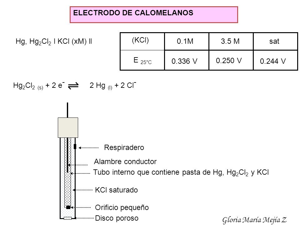 Gloria María Mejía Z ELECTRODO DE CALOMELANOS 0.1M 3.5 M sat V