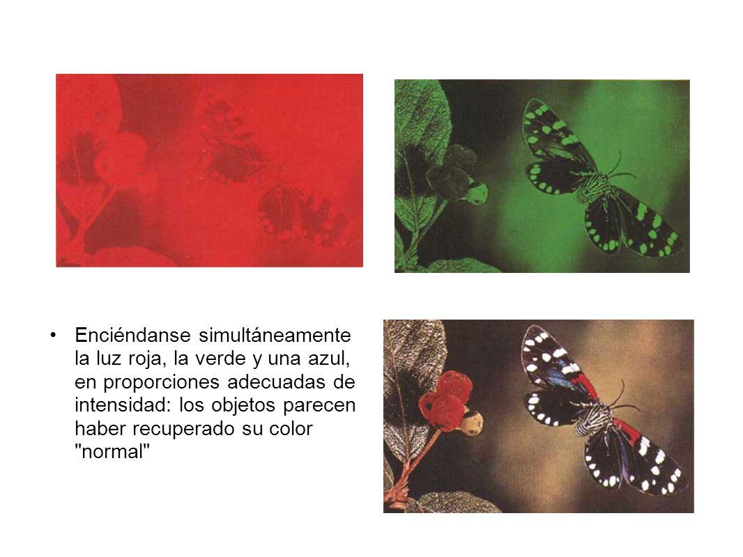 Enciéndanse simultáneamente la luz roja, la verde y una azul, en proporciones adecuadas de intensidad: los objetos parecen haber recuperado su color normal