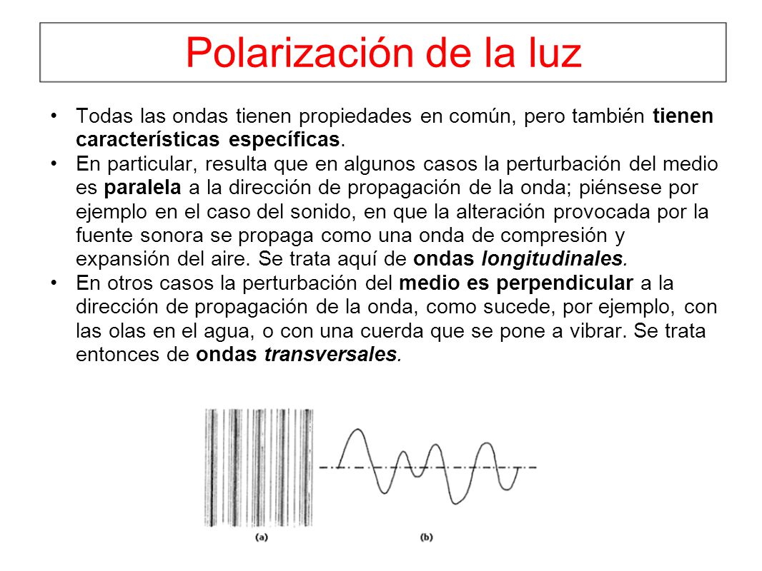 Polarización de la luz Todas las ondas tienen propiedades en común, pero también tienen características específicas.