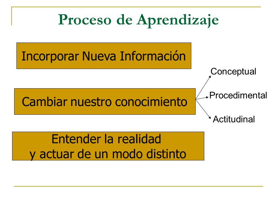 Proceso de Aprendizaje